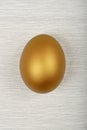 Golden egg Royalty Free Stock Photo
