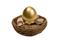 Golden Egg Standing In Nest Of Money Royalty Free Stock Photo
