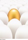 Golden egg standing out from the others Royalty Free Stock Photo