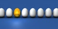 A golden egg that stands out among the many eggs lined up. An abstract concept of future potential and promise. Royalty Free Stock Photo