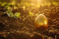 golden egg in sunlit garden Royalty Free Stock Photo