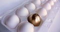 Golden Egg Surprise! Royalty Free Stock Photo