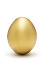 Golden egg, a symbol of profit Royalty Free Stock Photo