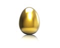 Golden egg Royalty Free Stock Photo