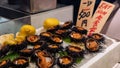 Golden egg urchin open and ready to eat in Kyoto fish market. Fresh uni seafood Royalty Free Stock Photo