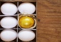 Golden egg and white eggs Royalty Free Stock Photo