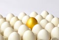 Golden egg among white eggs Royalty Free Stock Photo