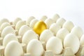 Surprise - golden egg Royalty Free Stock Photo