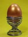 Golden Egg in wire egg cup Royalty Free Stock Photo