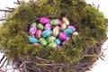 Golden eggs in bird nest over white Royalty Free Stock Photo