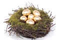 Golden eggs in bird nest over white Royalty Free Stock Photo