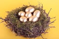 Golden eggs in bird nest over yellow