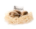 Golden eggs and card with word PENSION in nest Royalty Free Stock Photo