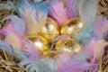 Golden eggs with colorful feathers in a nest. Concept easter