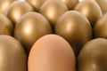 Golden eggs with different one as background Royalty Free Stock Photo