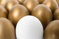 Golden eggs with different one as background Royalty Free Stock Photo