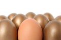 Golden eggs with different one Royalty Free Stock Photo