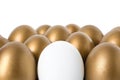 Golden eggs with different one Royalty Free Stock Photo