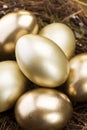 Golden Eggs in a Nest Royalty Free Stock Photo