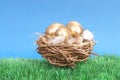 Golden eggs in nest Royalty Free Stock Photo