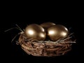 Golden eggs in nest Royalty Free Stock Photo