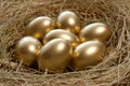 Golden eggs in nest Royalty Free Stock Photo