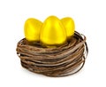 Golden eggs in nest Royalty Free Stock Photo