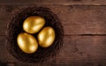 Golden eggs in the nest Royalty Free Stock Photo