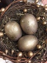 Golden eggs in nest Royalty Free Stock Photo