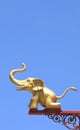 A golden elephant Royalty Free Stock Photo