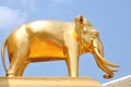 A golden elephant