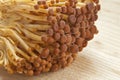 Golden Enoki mushrooms close up Royalty Free Stock Photo