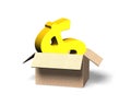 Golden Euro symbol in opened cardboard box, 3D illustration Royalty Free Stock Photo