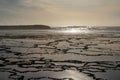 Golden evening light reflectiing in tidal pools on a rocky beach with the ocean behind Royalty Free Stock Photo