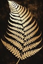 Golden exotic fern leaf on a grunge background. Decorative ornate element, wall art. Generative AI Royalty Free Stock Photo