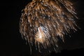 Golden explosion of fireworks and salute, isolated and blurred on black background, element for design Royalty Free Stock Photo