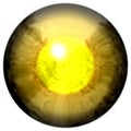 Golden eye with open pupil and bright yellow retina in background. Dark colorful iris around pupil, isolated eye. Royalty Free Stock Photo