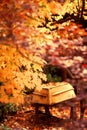 Golden Fall Leaves and Yellow Row Boat Display Aut Royalty Free Stock Photo