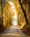 Golden Morning Sunshine Country Road Royalty Free Stock Photo