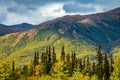 Golden fall scenic view of Denali national park at sunset Royalty Free Stock Photo