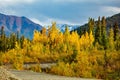 Golden fall scenic view of Denali national park at sunset Royalty Free Stock Photo