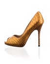 Golden Fashionable women shoe Royalty Free Stock Photo