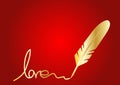 Golden Feather quill Royalty Free Stock Photo