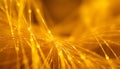 Golden Fiber Optics Abstract Royalty Free Stock Photo
