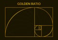 Golden fibonacci number, golden section, spiral proportion poster. Fibonacci perfect proportion golden ratio vector Royalty Free Stock Photo