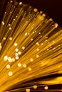 Golden fibre optic light strand