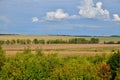 Golden fields after harvesting in the vast expanses of Russia Royalty Free Stock Photo