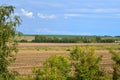 Golden fields after harvesting in the vast expanses of Russia. Focus on the foreground Royalty Free Stock Photo