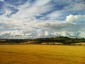 Golden fields in Perth, Scotland Royalty Free Stock Photo