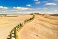 Golden Fields of Siena Tuscany with Road Aerial View Royalty Free Stock Photo